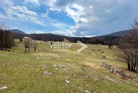 Platak, poljoprivredno zemljište 6.350m2, Čavle, Земля