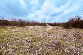 Barban, okolica, građevinsko zemljište 730m2, Barban, Land