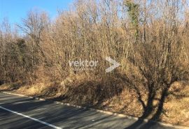 Saršoni, poljoprivredno zemljište 4.000m2, Viškovo, Land