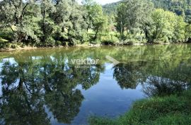 Gorski kotar, kuća, 200m od Kupe, Vrbovsko, Kuća