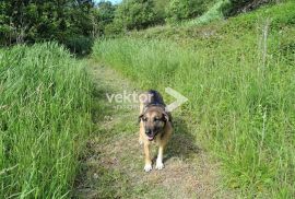 Krasica, građevinsko zemljište za obiteljsku kuću, Bakar, Land