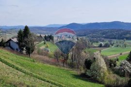 ŠARMANTNA VIKENDICA - GREGUROVEC, Mihovljan, Casa