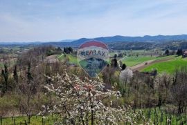 ŠARMANTNA VIKENDICA - GREGUROVEC, Mihovljan, Famiglia