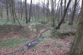 Zemljište sa projektom za kušaonicu vina i restoran, Sveti Martin Na Muri, Terrain