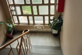 Karaburma, Marijane Gregoran, 34m2, TA/CG, uknjižen ID#1407, Palilula, Appartment