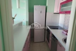 Kod Botaničke bašte, kompletno opremljen ID#1374, Palilula, Apartamento