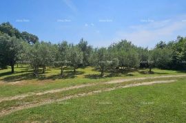 Građevinsko zemljište Prodaje se građevinsko zemljište 1000 m2, Krnica, Marčana, Arazi