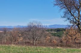 ISTRA, BARBAN - Građevinsko zemljište na mirnoj lokaciji, rub građevinske zone, pogled, Barban, Terreno