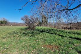 ISTRA, BARBAN - Građevinsko zemljište na mirnoj lokaciji, rub građevinske zone, pogled, Barban, Terreno