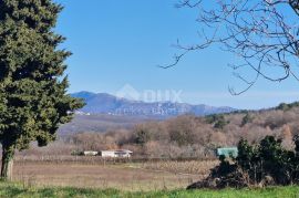 ISTRA, BARBAN - Građevinsko zemljište otvorenog pogleda, rub naselja, Barban, Arazi