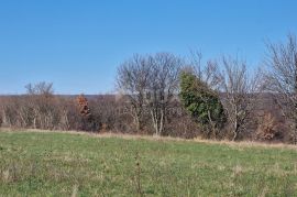 ISTRA, BARBAN - Građevinsko zemljište otvorenog pogleda, rub naselja, Barban, Land