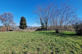 ISTRA, BARBAN - Građevinsko zemljište otvorenog pogleda, rub naselja, Barban, Arazi