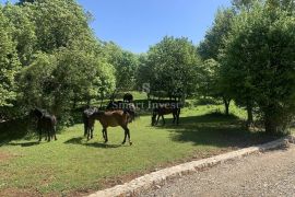 MOŠĆENICE - OKOLICA, vila sa bazenom na zemljištu od 8097 m2, Mošćenička Draga, Ev