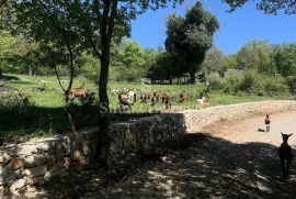 MOŠĆENICE - OKOLICA, vila sa bazenom na zemljištu od 8097 m2, Mošćenička Draga, Ev