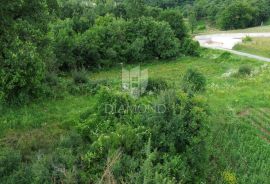 Pićan, okolica, građevinsko zemljište okruženo zelenilom, Pićan, Land