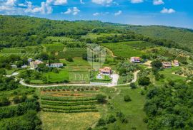 Motovun, okolica! Zemljište u T2 zoni sa prekrasnim pogledom!, Motovun, Terra