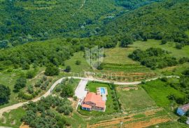 Motovun, okolica! Zemljište u T2 zoni sa prekrasnim pogledom!, Motovun, Land