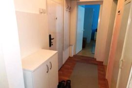 Dvosoban stan, 45m2, Gadžin Han ID#3614, Gadžin Han, Appartment