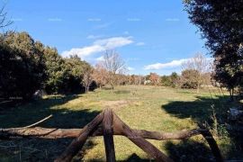 Poljoprivredno zemljište Prodaje se poljoprivredna parcela,  površine  3143 m2, u Šišanu, Ližnjan, Tierra