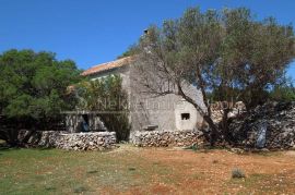 Punta Križa, Otok Cres - Zemljište, 76133 m2, Mali Lošinj, Tierra