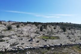 Šibenik Rogoznica 5636 m2 sa kućicom, pogled na more!, Rogoznica, Terreno