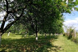 Voćnjak - Erdut, Erdut, Terrain