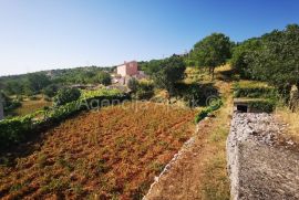 Imotski Lokvičići kamene kuće na parceli od 2035 m2 - ekskluziva, Imotski, Σπίτι