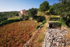 Imotski Lokvičići kamene kuće na parceli od 2035 m2 - ekskluziva, Imotski, Famiglia