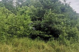 Prodaje se šuma u Raklju!, Marčana, Zemljište