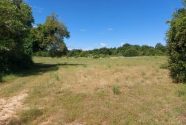 Građevinsko zemljište od 2472 m2, okolica Svetvinčenta, Svetvinčenat, Land