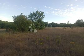 Prostrano poljoprivredno zemljište, Marčana, Land