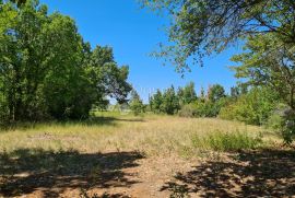 Poljoprivredno zemljište Vodnjan, Vodnjan, Terrain