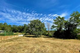 STARINA S PROSTRANOM GRAĐEVINSKOM OKUĆNICOM, Barban, Haus