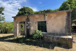 STARINA S PROSTRANOM GRAĐEVINSKOM OKUĆNICOM, Barban, Haus