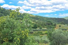 Lijepo zemljište u selu Pračana ispod Sovinjaka, Buzet, Terrain