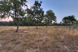 Poljoprivredno zemljište 10.427 m2 s tehničkim rješenjem za prenamjenu, Bale, Bale, Tierra