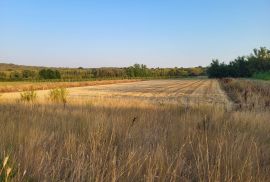 Poljoprivredno zemljište 11.190 m2, Bale, Bale, Tierra