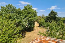 KUĆA SA BAZENOM NA VELIKOJ OKUĆNICI - VISOKI ROH-BAU, Sveti Petar U Šumi, House