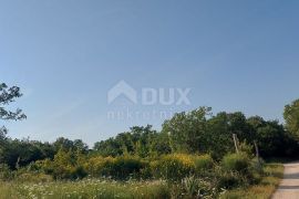 ISTRA, ROVINJ Maslinik, vinograd i voćnjak 1,6 ha, Rovinj, Land