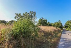 Građevinsko zemljište i prostrana šuma u okolici Barbana, Barban, Land