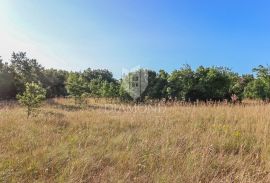 Zemljište za kuću na prostranoj parceli u okolici Barbana, Barban, Terrain