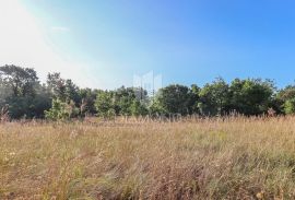 Zemljište za kuću na prostranoj parceli u okolici Barbana, Barban, Land