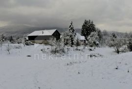 GORSKI KOTAR, VRBOVSKO-Imanje površine 50000m2 okruženo šumom, Vrbovsko, Casa