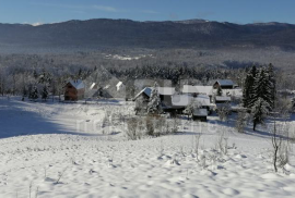 GORSKI KOTAR, VRBOVSKO-Imanje površine 50000m2 okruženo šumom, Vrbovsko, Ev