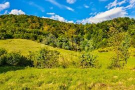 GORSKI KOTAR, VRBOVSKO-Imanje površine 50000m2 okruženo šumom, Vrbovsko, Famiglia