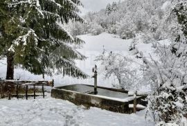 GORSKI KOTAR, VRBOVSKO-Imanje površine 50000m2 okruženo šumom, Vrbovsko, Σπίτι