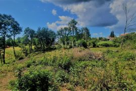 ISTRA, ŽMINJ - Prostrano građevinsko zemljište u mirnom naselju, Žminj, Terrain