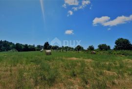 ISTRA, KANFANAR - Prostrano zemljište od 1ha uz urbaniziranu zonu sa otvorenim pogledom, Kanfanar, Terra