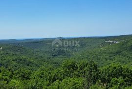 ISTRA, KANFANAR - Prostrano zemljište od 1ha uz urbaniziranu zonu sa otvorenim pogledom, Kanfanar, Arazi