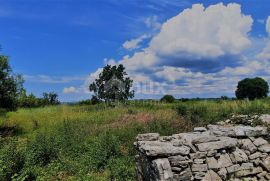 ISTRA, ROVINJ, OKOLICA - Građevinsko zemljište 1458 m2 sa otvorenim pogledom na prirodu, Kanfanar, Arazi